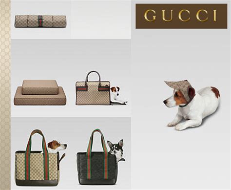 borse per cani gucci|Oggetti e Accessori di Lusso per Animali .